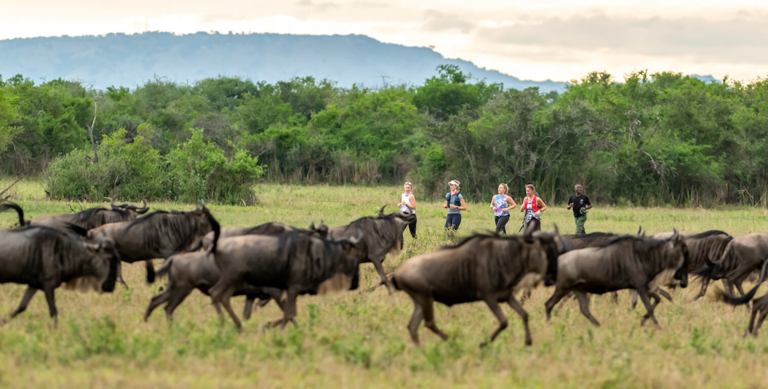 Serengeti Girls run marathon behind wildebeest
